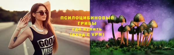 прущая мука Алзамай